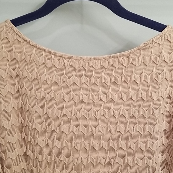 Sharagano NWT Cafe Colored Dress in Size 22W - Picture 8 of 11